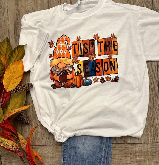 Tis the Season Fall Gnome